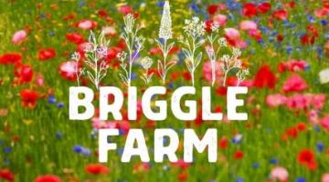 Briggle Farm